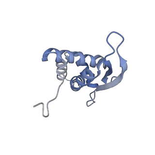 24136_7n31_LQ_v1-2
Elongating 70S ribosome complex in a post-translocation (POST) conformation