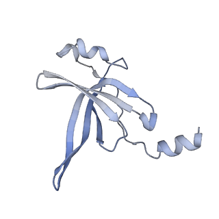 24136_7n31_LS_v1-2
Elongating 70S ribosome complex in a post-translocation (POST) conformation