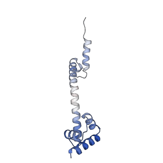 24136_7n31_LT_v1-2
Elongating 70S ribosome complex in a post-translocation (POST) conformation