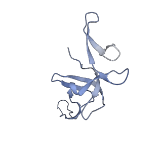 24136_7n31_LX_v1-2
Elongating 70S ribosome complex in a post-translocation (POST) conformation