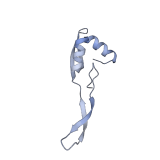 24136_7n31_Lb_v1-2
Elongating 70S ribosome complex in a post-translocation (POST) conformation