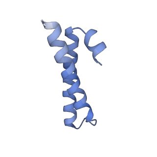 24136_7n31_Lc_v1-2
Elongating 70S ribosome complex in a post-translocation (POST) conformation