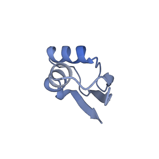 24136_7n31_Ld_v1-2
Elongating 70S ribosome complex in a post-translocation (POST) conformation