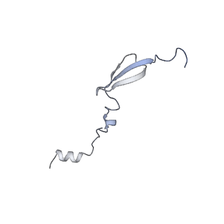 24136_7n31_Le_v1-2
Elongating 70S ribosome complex in a post-translocation (POST) conformation