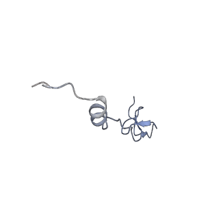 24136_7n31_Lf_v1-2
Elongating 70S ribosome complex in a post-translocation (POST) conformation