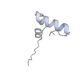 24136_7n31_Lh_v1-2
Elongating 70S ribosome complex in a post-translocation (POST) conformation