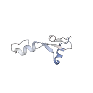 24136_7n31_Li_v1-2
Elongating 70S ribosome complex in a post-translocation (POST) conformation