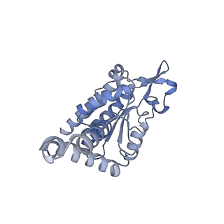 24136_7n31_SB_v1-2
Elongating 70S ribosome complex in a post-translocation (POST) conformation
