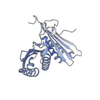 24136_7n31_SC_v1-2
Elongating 70S ribosome complex in a post-translocation (POST) conformation