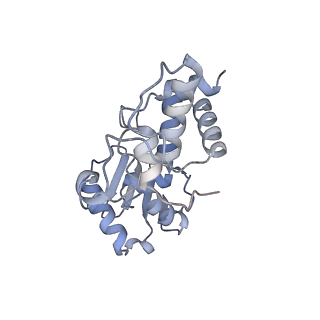24136_7n31_SD_v1-2
Elongating 70S ribosome complex in a post-translocation (POST) conformation