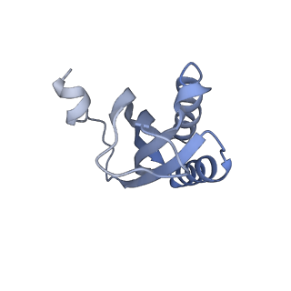 24136_7n31_SF_v1-2
Elongating 70S ribosome complex in a post-translocation (POST) conformation