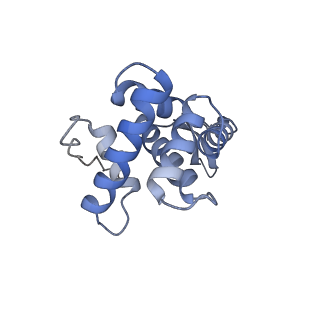24136_7n31_SG_v1-2
Elongating 70S ribosome complex in a post-translocation (POST) conformation