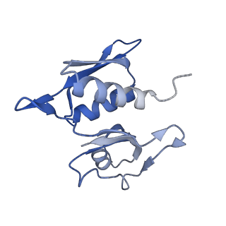 24136_7n31_SH_v1-2
Elongating 70S ribosome complex in a post-translocation (POST) conformation