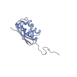 24136_7n31_SI_v1-2
Elongating 70S ribosome complex in a post-translocation (POST) conformation