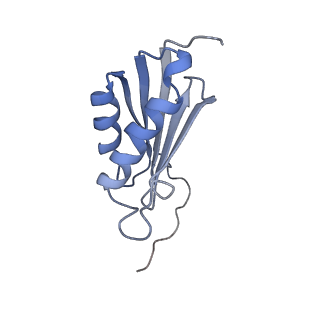 24136_7n31_SK_v1-2
Elongating 70S ribosome complex in a post-translocation (POST) conformation