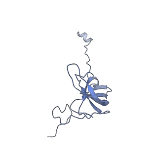 24136_7n31_SL_v1-2
Elongating 70S ribosome complex in a post-translocation (POST) conformation