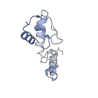 24136_7n31_SM_v1-2
Elongating 70S ribosome complex in a post-translocation (POST) conformation