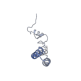 24136_7n31_SN_v1-2
Elongating 70S ribosome complex in a post-translocation (POST) conformation