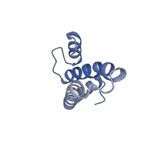 24136_7n31_SO_v1-2
Elongating 70S ribosome complex in a post-translocation (POST) conformation