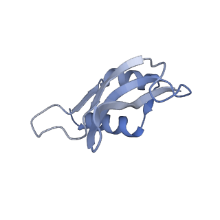 24136_7n31_SP_v1-2
Elongating 70S ribosome complex in a post-translocation (POST) conformation
