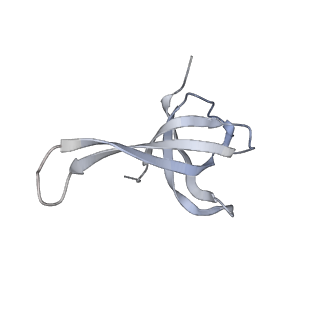 24136_7n31_SQ_v1-2
Elongating 70S ribosome complex in a post-translocation (POST) conformation
