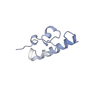 24136_7n31_SR_v1-2
Elongating 70S ribosome complex in a post-translocation (POST) conformation