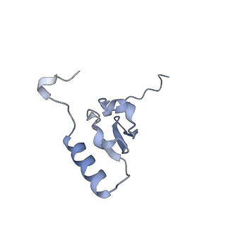 24136_7n31_SS_v1-2
Elongating 70S ribosome complex in a post-translocation (POST) conformation
