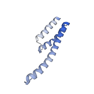 24136_7n31_ST_v1-2
Elongating 70S ribosome complex in a post-translocation (POST) conformation