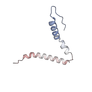 24136_7n31_SU_v1-2
Elongating 70S ribosome complex in a post-translocation (POST) conformation