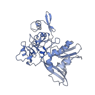 24137_7n33_C_v1-2
SARS-CoV-2 Nsp15 endoribonuclease pre-cleavage state
