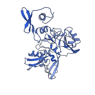 24137_7n33_D_v1-2
SARS-CoV-2 Nsp15 endoribonuclease pre-cleavage state
