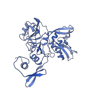 24137_7n33_E_v1-2
SARS-CoV-2 Nsp15 endoribonuclease pre-cleavage state
