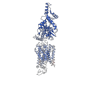 24141_7n3n_A_v1-3
CryoEM structure of human NKCC1 state Fu-I