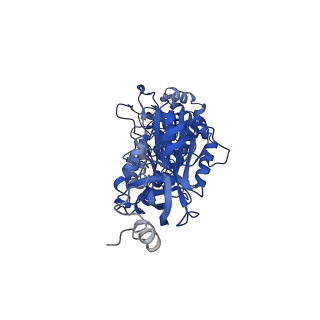 9335_6n30_A_v1-1
Bacillus PS3 ATP synthase class 3