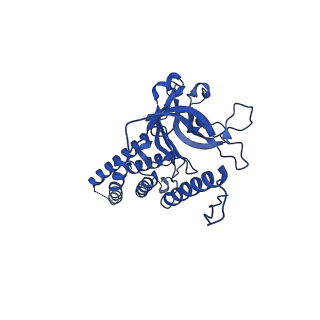 9341_6n38_A_v1-3
Structure of the type VI secretion system TssK-TssF-TssG baseplate subcomplex revealed by cryo-electron microscopy - full map sharpened