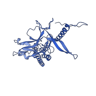 9341_6n38_B_v1-2
Structure of the type VI secretion system TssK-TssF-TssG baseplate subcomplex revealed by cryo-electron microscopy - full map sharpened