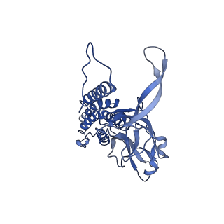 9341_6n38_C_v1-2
Structure of the type VI secretion system TssK-TssF-TssG baseplate subcomplex revealed by cryo-electron microscopy - full map sharpened