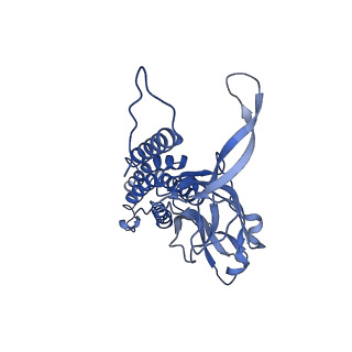 9341_6n38_C_v1-3
Structure of the type VI secretion system TssK-TssF-TssG baseplate subcomplex revealed by cryo-electron microscopy - full map sharpened