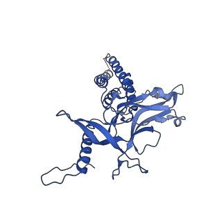 9341_6n38_D_v1-2
Structure of the type VI secretion system TssK-TssF-TssG baseplate subcomplex revealed by cryo-electron microscopy - full map sharpened