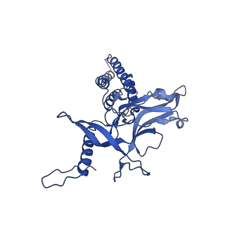 9341_6n38_D_v1-3
Structure of the type VI secretion system TssK-TssF-TssG baseplate subcomplex revealed by cryo-electron microscopy - full map sharpened