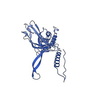 9341_6n38_E_v1-2
Structure of the type VI secretion system TssK-TssF-TssG baseplate subcomplex revealed by cryo-electron microscopy - full map sharpened