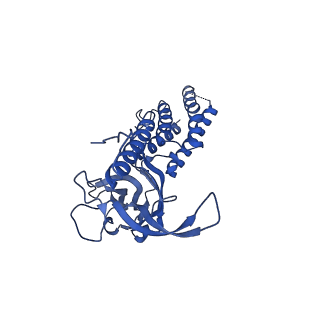 9341_6n38_F_v1-2
Structure of the type VI secretion system TssK-TssF-TssG baseplate subcomplex revealed by cryo-electron microscopy - full map sharpened