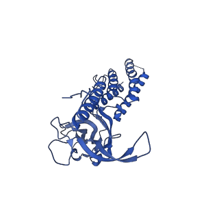 9341_6n38_F_v1-3
Structure of the type VI secretion system TssK-TssF-TssG baseplate subcomplex revealed by cryo-electron microscopy - full map sharpened