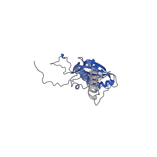 9341_6n38_G_v1-2
Structure of the type VI secretion system TssK-TssF-TssG baseplate subcomplex revealed by cryo-electron microscopy - full map sharpened