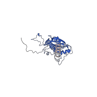 9341_6n38_G_v1-3
Structure of the type VI secretion system TssK-TssF-TssG baseplate subcomplex revealed by cryo-electron microscopy - full map sharpened