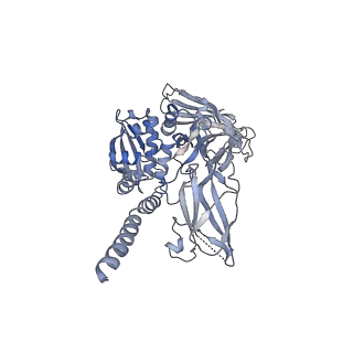 9341_6n38_H_v1-2
Structure of the type VI secretion system TssK-TssF-TssG baseplate subcomplex revealed by cryo-electron microscopy - full map sharpened