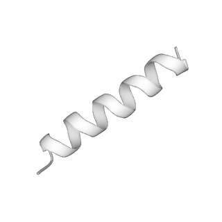 9341_6n38_K_v1-3
Structure of the type VI secretion system TssK-TssF-TssG baseplate subcomplex revealed by cryo-electron microscopy - full map sharpened