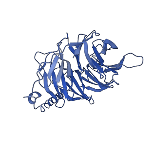 0339_6n4b_B_v1-2
Cannabinoid Receptor 1-G Protein Complex