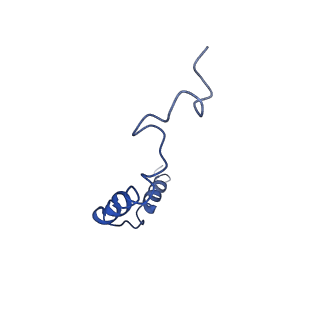 0339_6n4b_C_v1-2
Cannabinoid Receptor 1-G Protein Complex