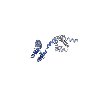 0341_6n4q_A_v1-3
CryoEM structure of Nav1.7 VSD2 (actived state) in complex with the gating modifier toxin ProTx2